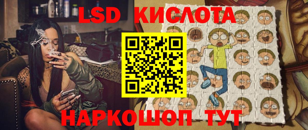 Бошки Шишки Майкоп