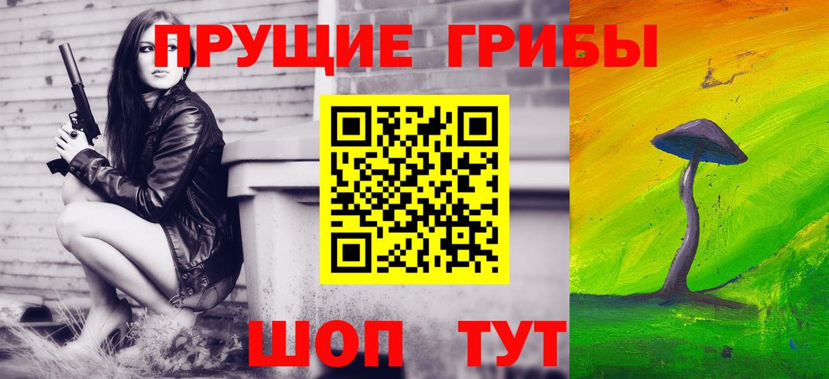 Галлюциногенные грибы Psilocybine cubensis Майкоп