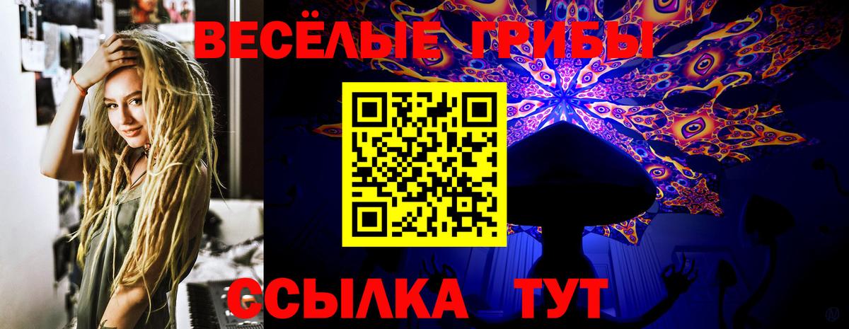 Псилоцибиновые грибы Magic Shrooms  Галлюциногенные грибы GOLDEN TEACHER  Майкоп  Вход с VPN 