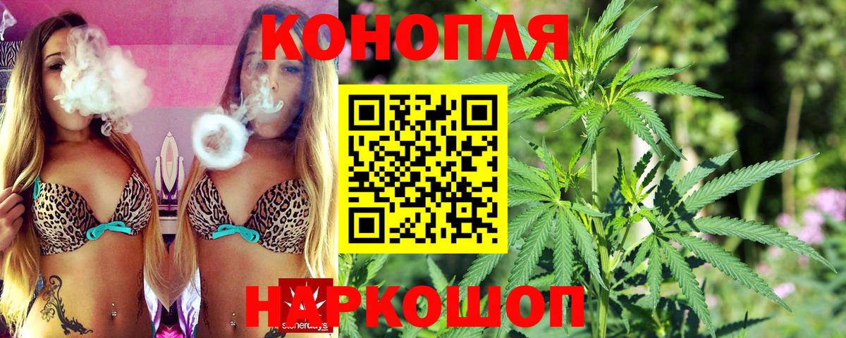 Каннабис план Майкоп